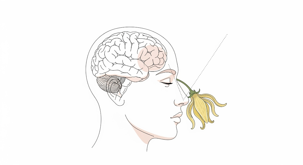 香りの効果は科学的に証明されている？